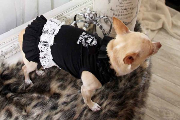 Dress Black Ivory