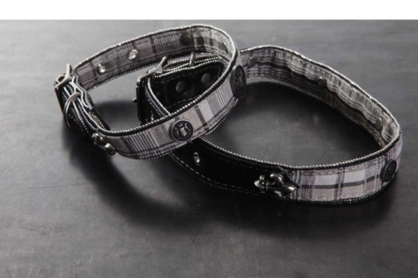 Royal Academy Collars - Image 2