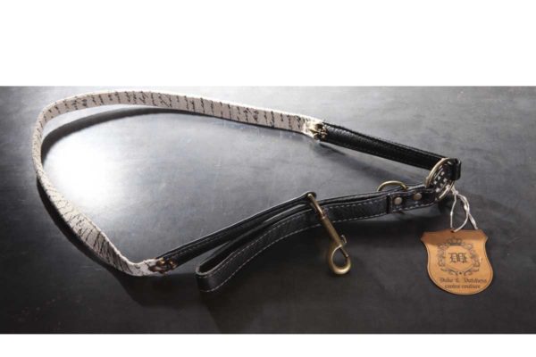 Love Letters Leash