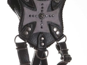 Pirates Booty Harness