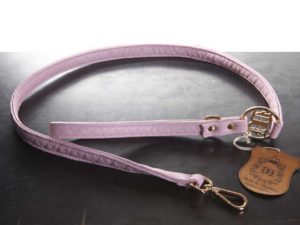 Quilt Leash