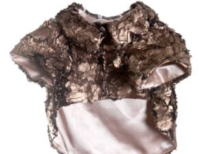 Gold Printed Feathers