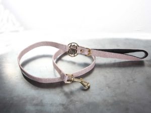 Shimmer Leash